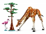 LEGO® Creator 31150 - Divoké zvieratá zo safari
